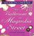 The Ballroom On Magnolia Street (Audio CD)