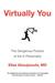 Virtually You: The Dangerous Powers of the E-Personality (Paperback)