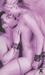 The Haven of Obedience (Paperback)