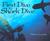 First Dive To Shark Dive