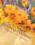 Flannery O'Connor Complete Stories (Paperback)