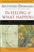 The Feeling of What Happens by António R. Damásio