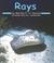 Rays Rays