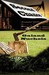 Second Chance