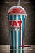 Fat Vampire: A Never Coming of Age Story (Paperback)