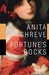 Fortune's Rocks (Hardcover)