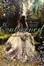 Entwined (Paperback)
