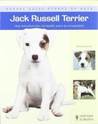 Jack Russell Terrier