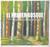 El Primer Bosque/ the First Forest (Paperback)