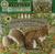 Gray Squirrel at Pacific Avenue (Smithsonian's Backyard/Boxed Book and Cassette) (Smithsonian's Backyard/Boxed Book and Cassette)