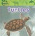 Turtles