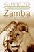 Zamba: The True Story of the Greatest Lion That Ever Lived (Paperback)