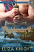 The Highlander's Reward (Stolen Bride, #1)