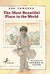 The Most Beautiful Place in the World (Hardcover)