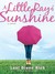 A Little Ray of Sunshine (ebook)