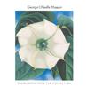 Georgia O'Keeffe Museum by Barbara Buhler Lynes