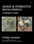 Agile and Iterative Development: A Manager's Guide