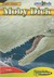 Moby Dick (Graphic Classics)