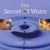 The Secret of Water (Hardcover)
