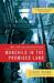 Manchild in the Promised Land (Paperback)