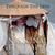 Through the Lens: National ...