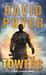 The Towers (Paperback)