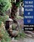 The Most Beautiful Villages of Provence by Michael Jacobs The Most Beautiful Villages of Provence by Michael Jacobs