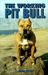 Working Pit Bull by Diane Jessup Working Pit Bull by Diane Jessup
