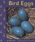 Bird Eggs, Vol. 3 (Paperback)