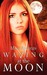 Waving at the Moon (Paperback)