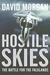 Hostile Skies