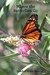 Where the Butterflies Go