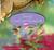 Saving Ceecee Honeycutt (Audio CD)