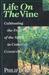 Life on the Vine: Cultivating the Fruit of the Spirit