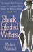 Shark-Infested Waters