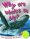 Why Are Whales So Big? Why Are Whales So Big?