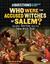 Who Were the Accused Witches of Salem?: And Other Questions about the Witchcraft Trials (Hardcover)