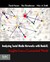 Analyzing Social Media Netw...