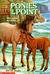 Ponies at the Point (Animal...