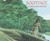 Sootface: An Ojibwa Cinderella Story (Hardcover)