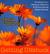 Getting Unstuck: Breaking Y...