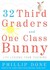 32 Third Graders and One Class Bunny: Life Lessons from Teaching (Paperback)
