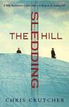The Sledding Hill