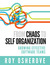 From chaos to self organiza...