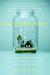 The Godmother (Paperback)