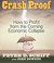 Crash Proof: How To Profit From the Coming Economic Collapse (Audio CD)