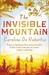 The Invisible Mountain