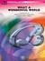 What a Wonderful World (Paperback)