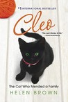 CLEO: The Cat Who Mended a Family