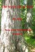 The Secret Life of Trees (T...